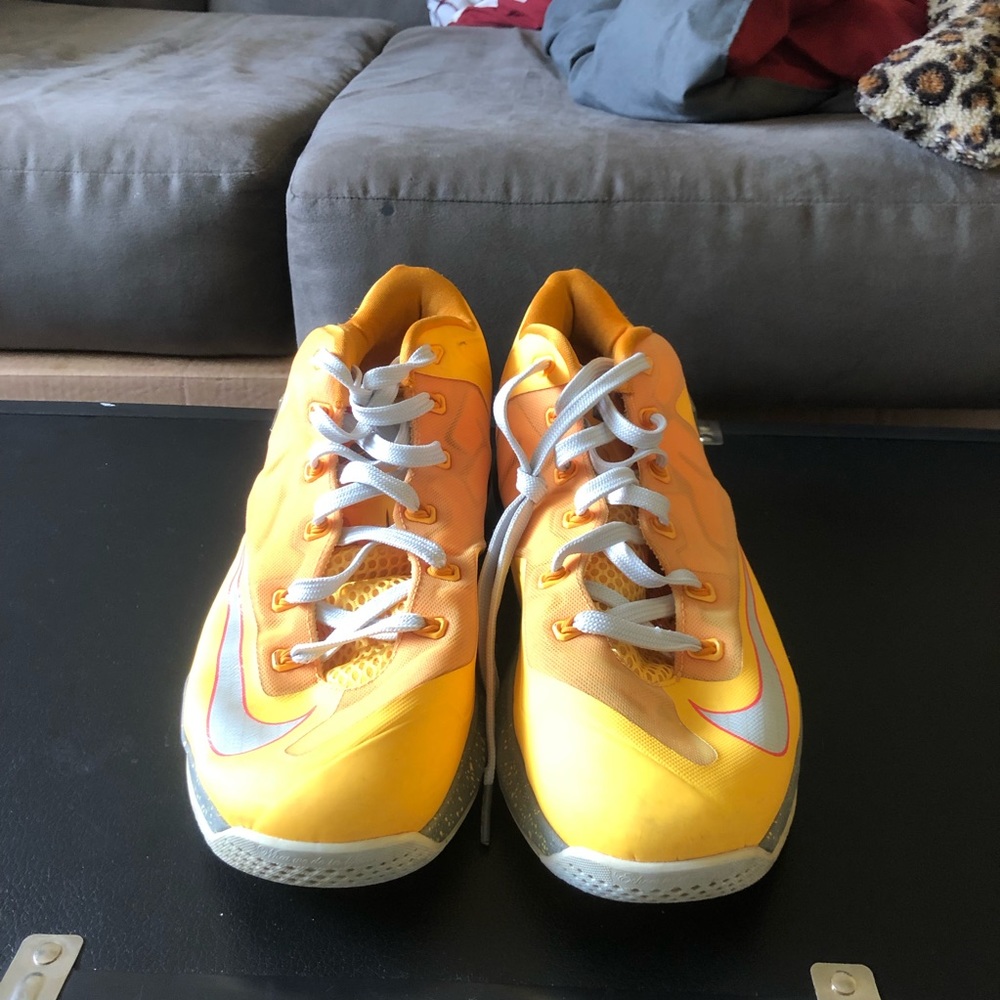 Nike Low Top Lebron
